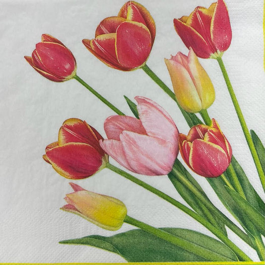 Flowers Paper Luncheon Napkins 20 Pack #5046